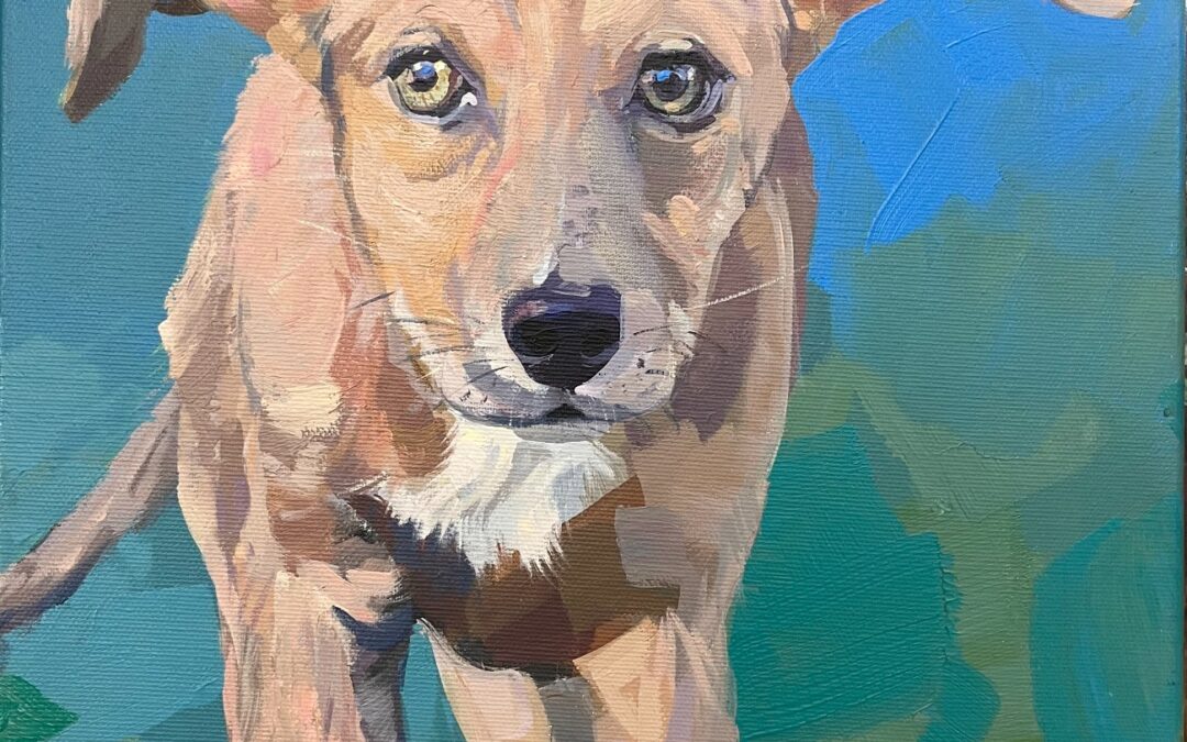 Art Night «Mascotas» octubre 2026